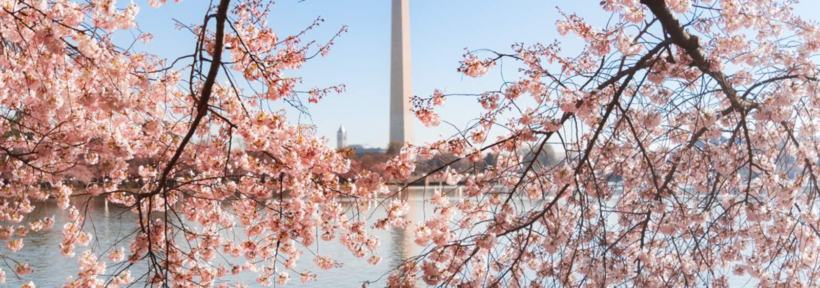 Discover an Unforgettable Weekend in DC