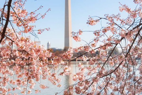 Discover an Unforgettable Weekend in DC